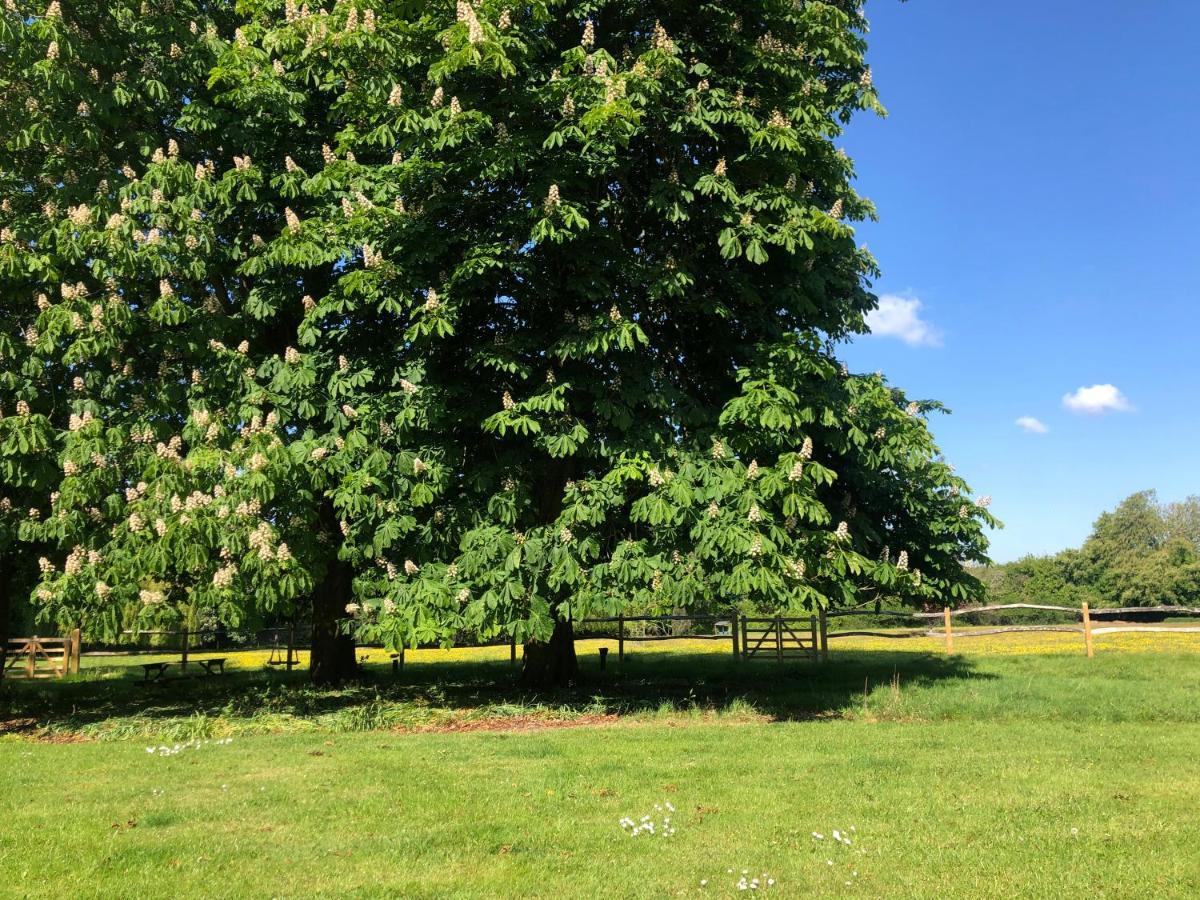 Ryefield Cottage - Luxurious Self-Catered Holiday Cottage With A Log Burner Chichester Eksteriør billede