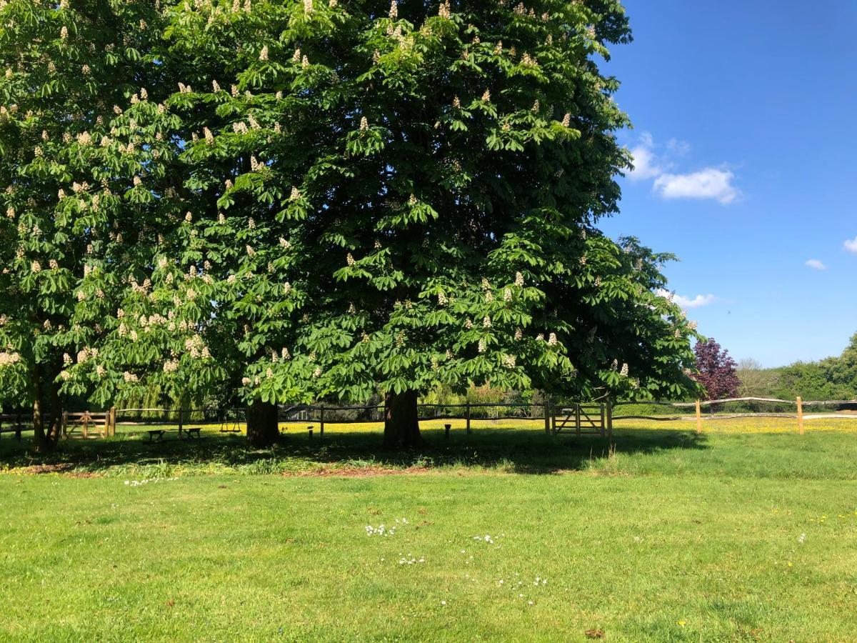 Ryefield Cottage - Luxurious Self-Catered Holiday Cottage With A Log Burner Chichester Eksteriør billede
