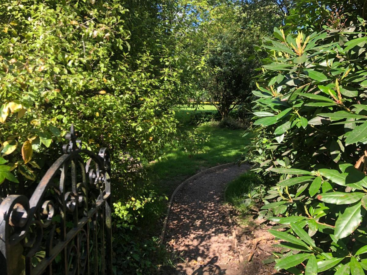 Ryefield Cottage - Luxurious Self-Catered Holiday Cottage With A Log Burner Chichester Eksteriør billede